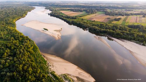 Zapraszamy do udziału w akcji WWF Polska - Rzeka urzeka